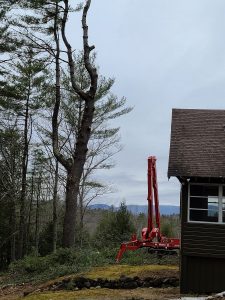 Aerial lift bucket folded down after trimming trees.